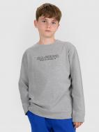 Футболка 4F LONGSLEEVE M485 4FJWAW25TLONM485-24M р.164 серый
