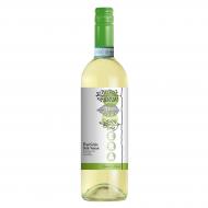 Вино Botter Era Pinot Grigio Delle Venezie Organic біле сухе 0,75 л