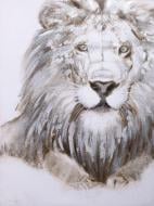 Картина Lion 90x120 см GF