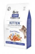 Корм сухой для котов Brit Care by Nutrition Kitten Gentle Digestion Strong Immunity с лососем 400 г