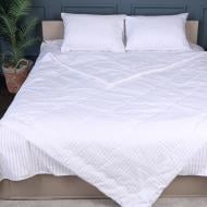 Набор №2908 Сolor Fun Line 17-0605 Stripe White Eco-Soft лето (2200010955781) 220x240 см MirSon белый