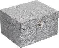 Скринька для прикрас Moon dust 20x16x11 см XB17475-B