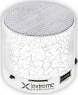 Портативна колонка Esperanza Extreme FM Radio Flash 1.0 white (XP101W)