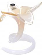 Свічник Flower Gig 6pt Honey 20х20х18 см White cristal