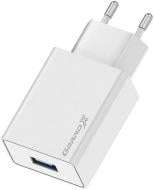 Зарядное устройство Grand-X CH-03W