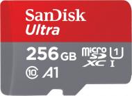 Карта памяти SanDisk microSDXC 256 ГБ UHS-IClass 10 (SDSQUA4-256G-GN6MN) Ultra