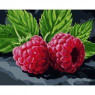 Картина по номерам с алмазной мозаикой Сочная малина 40х50 см Santi