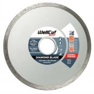 Диск алмазний відрізний WellCut Promo 125x5,0x22,23 101-125/22