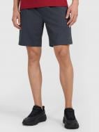 Шорты 4F 4FWMM00TFSHM1310-22M р. 2XL черный