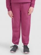 Штани 4F TROUSERS CAS F1249 4FJWAW25TTROF1249-50S р. 158 фіолетовий