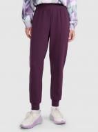 Брюки 4F TROUSERS CAS F1196 4FWAW25TTROF1196-50S р. L фиолетовый Брюки 4F TROUSERS CAS F1196 4FWAW25TTROF1196-50S р. L фиолетовый