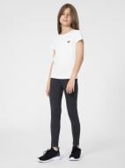 Лосины 4F 4FJSS23TTIGF038-23M серый Лосины 4F 4FJSS23TTIGF038-23M серый