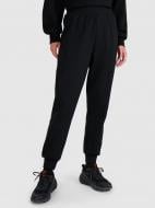 Штани 4F TROUSERS CAS F1196 4FWAW25TTROF1196-20S р. M чорний