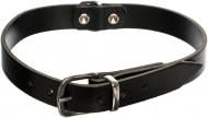 Ошейник Karlie Colibri черный 1,8х47 см 04-01044