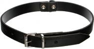 Ошейник Karlie Colibri черный 2х57 см 04-01064