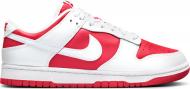 Кроссовки мужские зимние Nike Dunk Low Retro DD1391-600 р.44 бело-красные