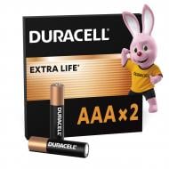 Батарейки щелочные Duracell MN2400 AAA (мизинчиковые) 2 шт. (81550794)