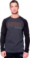 Футболка Puma STYLE Athletics LS RaglanTee 59247907 р.M темно-серый