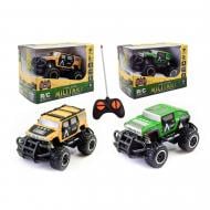 Машинка на радіокеруванні Shantou в асортименті 6146-6/6146-1