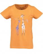 Футболка для девочек Blue Seven р.92 оранжевый 702235 X_271_р.92 Футболка для девочек Blue Seven р.92 оранжевый 702235 X_271_р.92