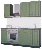 Кухня Квадро (ІК4) темно-зеленый МДФ 2 м