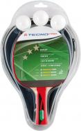 Набор для тенниса TECNOPRO Expert Pro Set ракетка, чехол та 3 мячика 234235 Набор для тенниса TECNOPRO Expert Pro Set ракетка, чехол та 3 мячика 234235