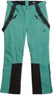 Брюки зимние 4F TROUSERS FNK M0902 4FWAW25TFTRM0902-44S р. 2XL зеленый
