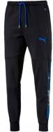 Брюки Puma Active Hero Pants FL cl 59259101 р. L черный Брюки Puma Active Hero Pants FL cl 59259101 р. L черный