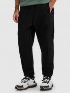 Брюки 4F TROUSERS CAS M1252 4FWAW25TTROM1252-20S р. 2XL черный