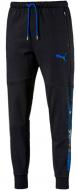 Брюки Puma Active Hero Pants FL cl 59259101 р. S черный