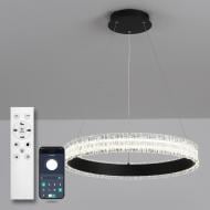 Люстра подвесная Luminaria 65 Вт LED-модуль black ERIKA 65W R485 BLACK Люстра подвесная Luminaria 65 Вт LED-модуль black ERIKA 65W R485 BLACK