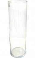 Ваза стеклянная цилиндр 295х100 прозрачний Ваза стеклянная цилиндр 295х100 прозрачний