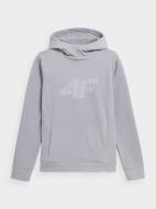 Джемпер 4F 4FSS23TFLEF051-27S р. S серый