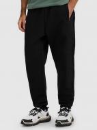Брюки 4F TROUSERS CAS M1252 4FWAW25TTROM1252-20S р. M черный Брюки 4F TROUSERS CAS M1252 4FWAW25TTROM1252-20S р. M черный