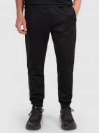 Брюки 4F 4FWAW25TFTRM0936-20S р. XL черный