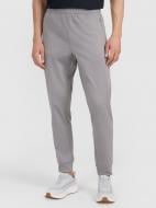 Брюки 4F TROUSERS FNK M1067 4FWMM00TFTRM1067-25M р. S серый Брюки 4F TROUSERS FNK M1067 4FWMM00TFTRM1067-25M р. S серый