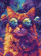 Картина по номерам Звездные очки ©art_selena_ua Ideyka