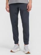 Брюки 4F 4FWMM00TFTRM1067-22M р. XL серый Брюки 4F 4FWMM00TFTRM1067-22M р. XL серый