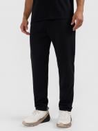 Брюки 4F TROUSERS CAS M1194 4FWAW25TTROM1194-20S р. XL черный