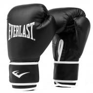 Боксерские перчатки Everlast Core 2 Training р. L/XL черный