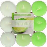 Набор чайных свечей Лайм 18 шт. Duftkerzen