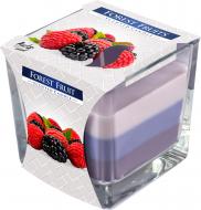 Свеча ароматическая трехслойная snk80-13 Лесные ягоды Bispol