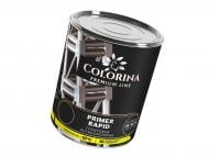 Грунтовка COLORINA Рапид антикоррозийная серый мат 2,8 кг