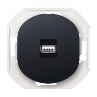 Розетка USB Aling-Conel Eon IP20 черный глянец E6162.E Розетка USB Aling-Conel Eon IP20 черный глянец E6162.E