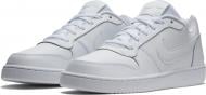 Кроссовки мужские зимние Nike EBERNON LOW AQ1775-100 р.41 белые