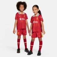 Форма футбольная Nike FN9234-688 р.XS красный