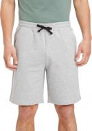 Шорты Energetics Gavin II M 417252-900911 р. M светло-серый