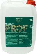 Засіб для видалення цвілі Protect Prof Spot Colour 10 л