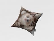 Подушка декоративная Том 45x45 см с принтом La Nuit