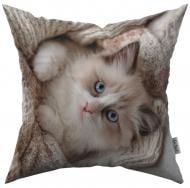 Подушка декоративная Том 45x45 см с принтом La Nuit